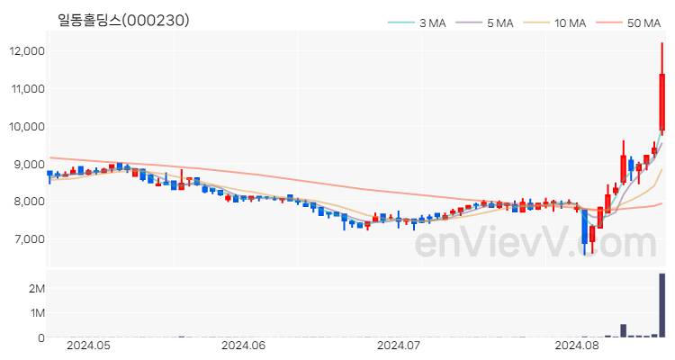일동홀딩스 주가 핵심 요약 분석과 주식 차트 2024.08.20