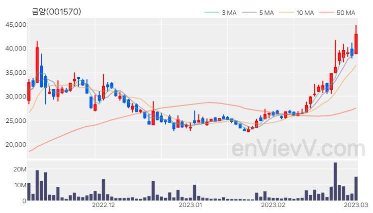 금양 주가 핵심 요약 분석과 주식 차트 2023.03.02