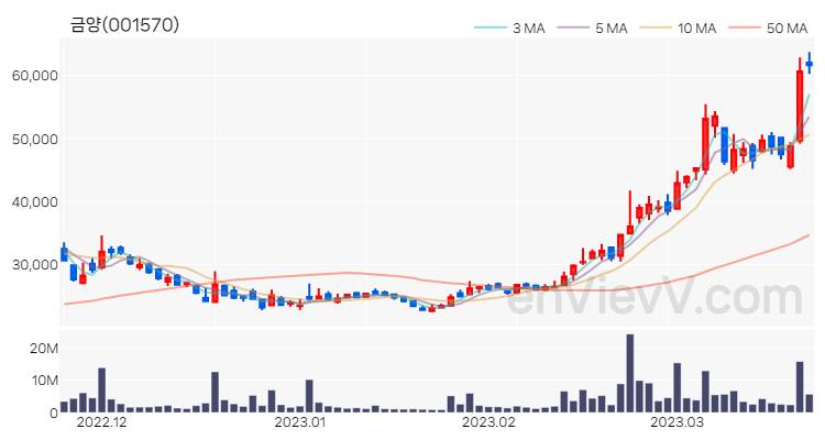 금양 주가 핵심 요약 분석과 주식 차트 2023.03.22