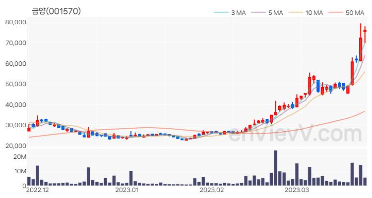 금양 주가 핵심 요약 분석과 주식 차트 2023.03.24