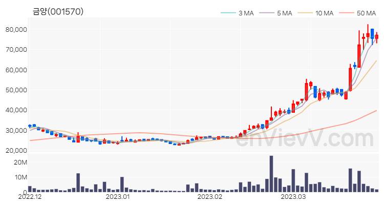 금양 주가 핵심 요약 분석과 주식 차트 2023.03.29