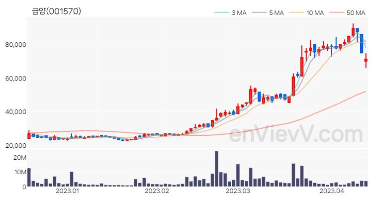 금양 주가 핵심 요약 분석과 주식 차트 2023.04.13