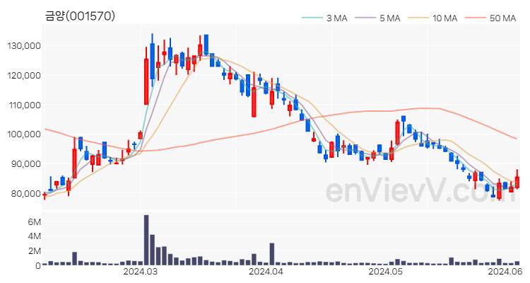 금양 주가 핵심 요약 분석과 주식 차트 2024.06.05