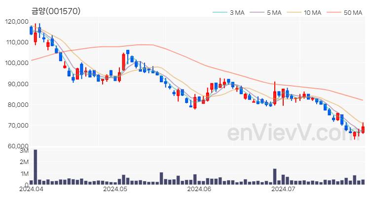 금양 주가 핵심 요약 분석과 주식 차트 2024.07.29