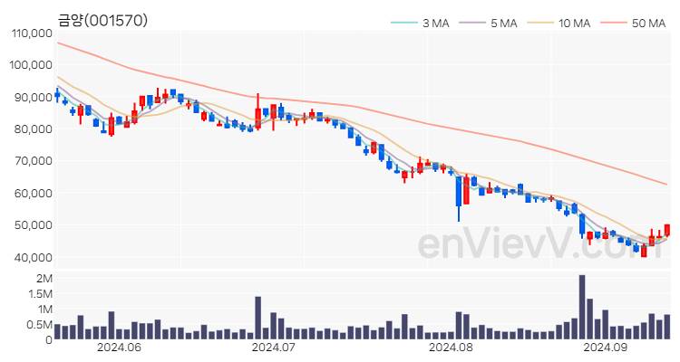 금양 주가 차트 (2024.09.12)