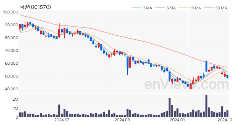 금양 주가 핵심 요약 분석과 주식 차트 2024.10.04