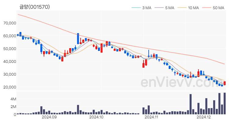 금양 주가 핵심 요약 분석과 주식 차트 2024.12.12