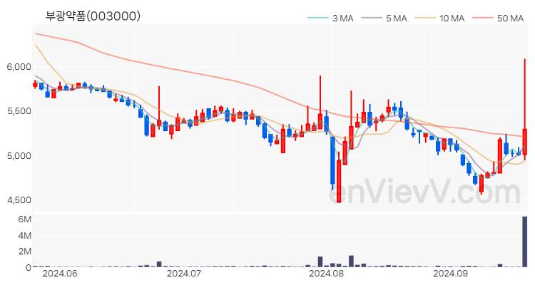 부광약품 주가 핵심 요약 분석과 주식 차트 2024.09.23
