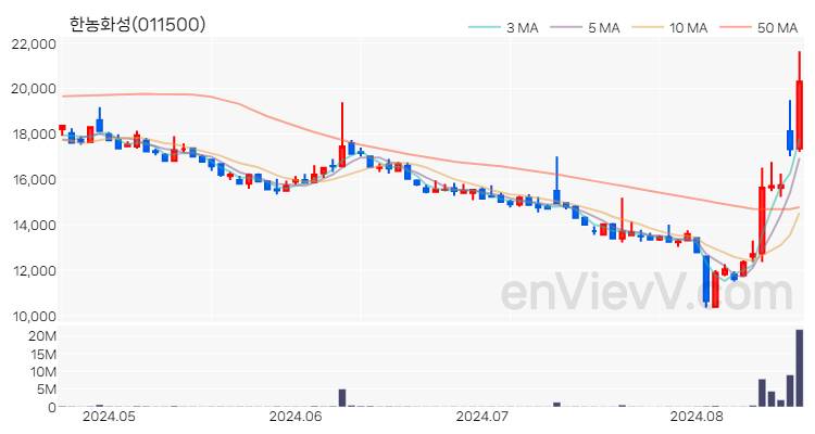한농화성 주가 핵심 요약 분석과 주식 차트 2024.08.20