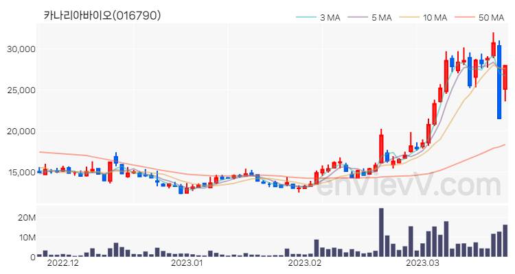 카나리아바이오 주가 핵심 요약 분석과 주식 차트 2023.03.22