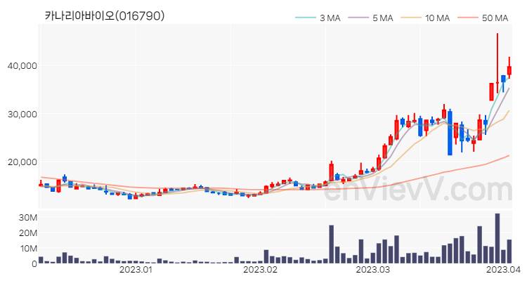 카나리아바이오 주가 핵심 요약 분석과 주식 차트 2023.04.04