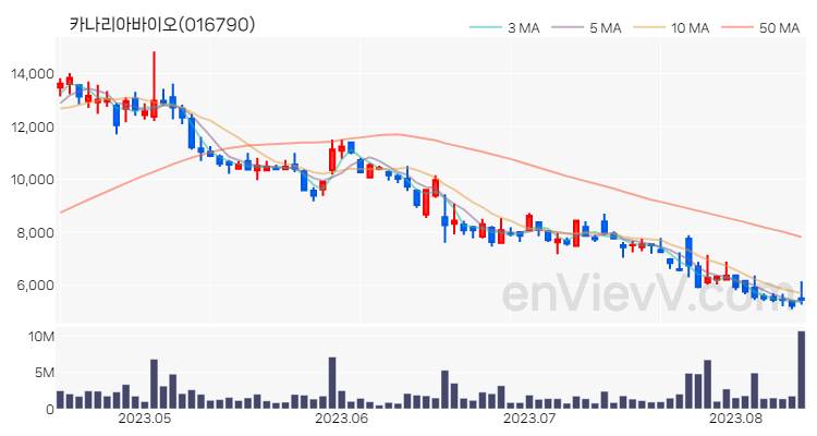 카나리아바이오 주가 핵심 요약 분석과 주식 차트 2023.08.11