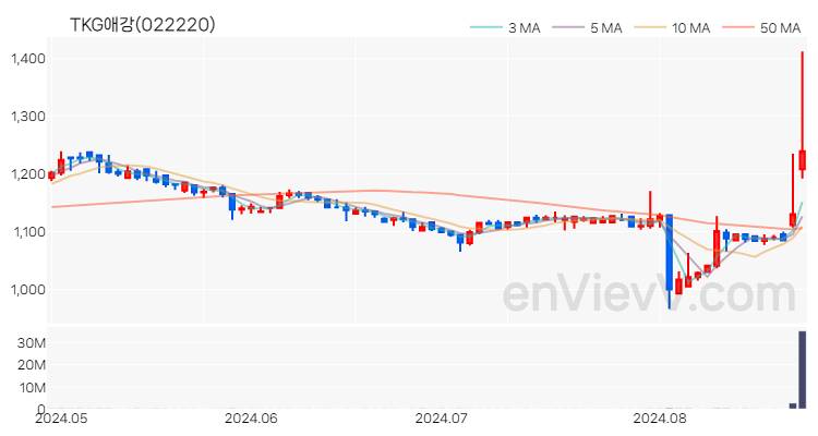 TKG애강 주가 핵심 요약 분석과 주식 차트 2024.08.26