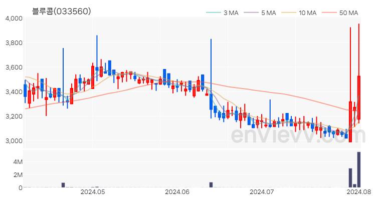 블루콤 주가 핵심 요약 분석과 주식 차트 2024.08.02