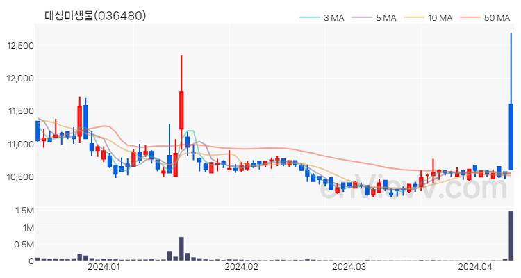 대성미생물 주가 핵심 요약 분석과 주식 차트 2024.04.11