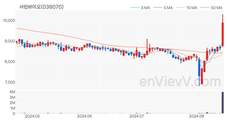 서린바이오 주가 핵심 요약 분석과 주식 차트 2024.08.19