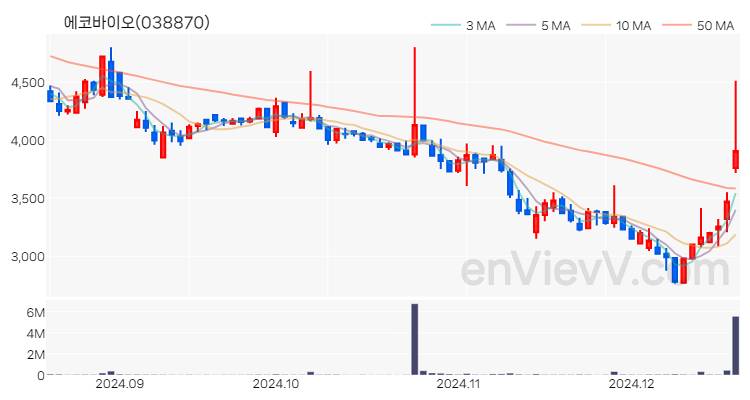 에코바이오 주가 핵심 요약 분석과 주식 차트 2024.12.18