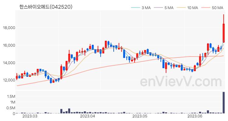 한스바이오메드 주가 핵심 요약 분석과 주식 차트 2023.06.20