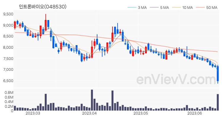 인트론바이오 주가 핵심 요약 분석과 주식 차트 2023.06.16
