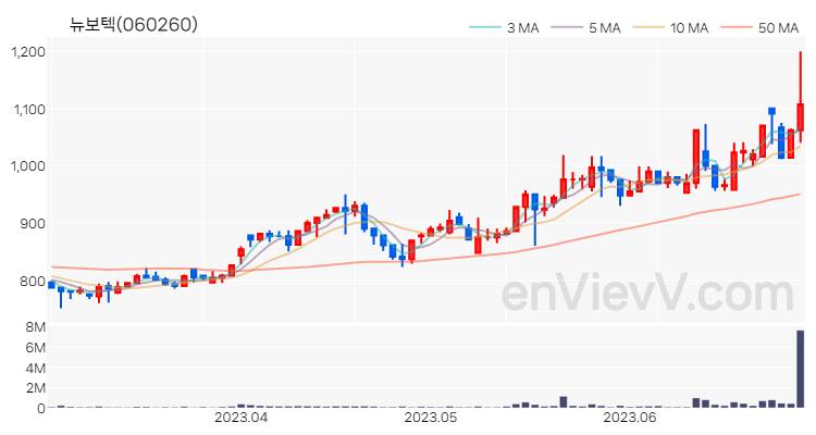 뉴보텍 주가 핵심 요약 분석과 주식 차트 2023.06.29