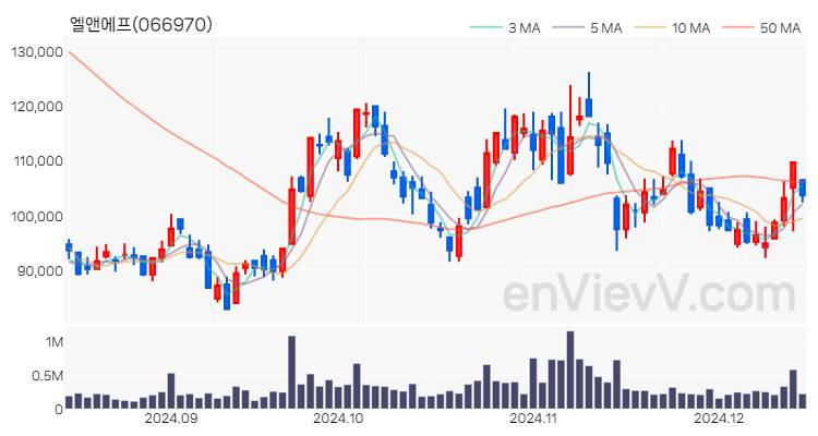 엘앤에프 주가 핵심 요약 분석과 주식 차트 2024.12.13