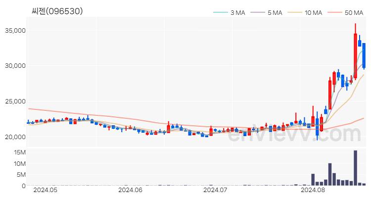씨젠 주가 핵심 요약 분석과 주식 차트 2024.08.21