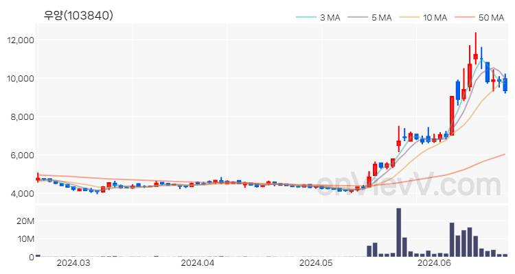 우양 주가 핵심 요약 분석과 주식 차트 2024.06.20