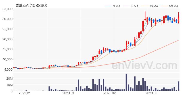 셀바스AI 주가 핵심 요약 분석과 주식 차트 2023.03.21