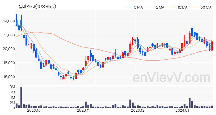 셀바스AI 주가 핵심 요약 분석과 주식 차트 2024.01.18