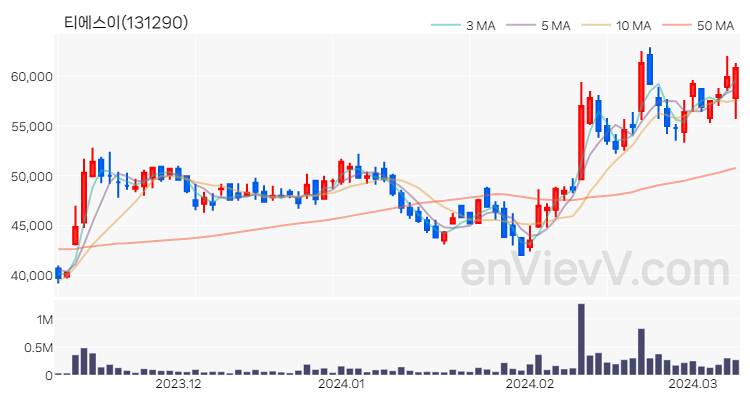 티에스이 주가 핵심 요약 분석과 주식 차트 2024.03.11