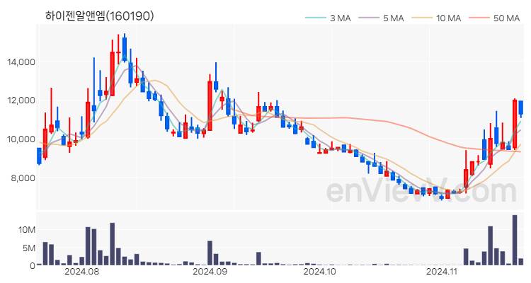 하이젠알앤엠 주가 핵심 요약 분석과 주식 차트 2024.11.20