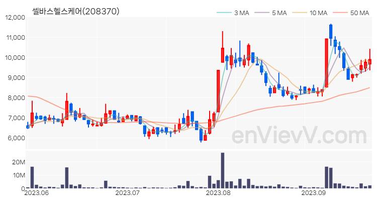 셀바스헬스케어 주가 핵심 요약 분석과 주식 차트 2023.09.20