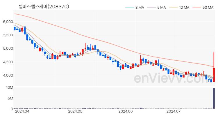 셀바스헬스케어 주가 핵심 요약 분석과 주식 차트 2024.07.23