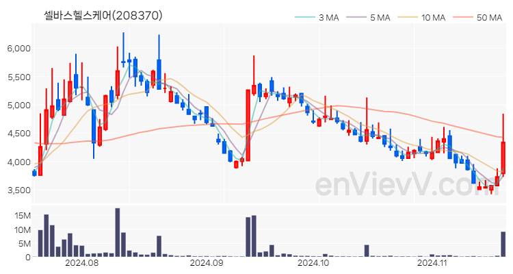 셀바스헬스케어 주가 핵심 요약 분석과 주식 차트 2024.11.19