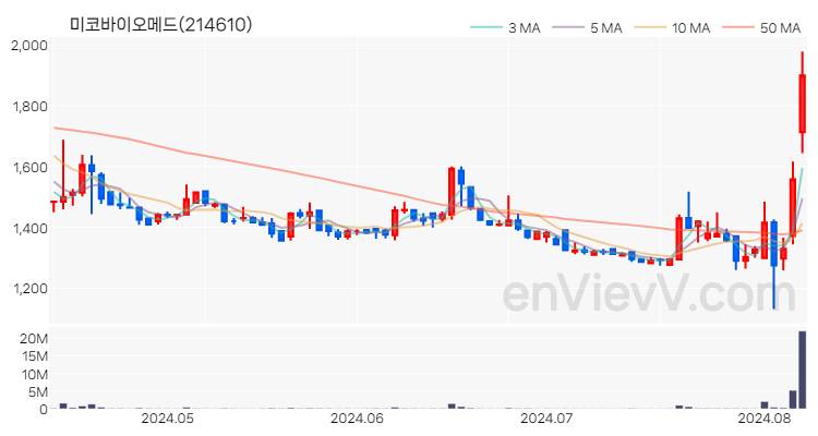 미코바이오메드 주가 핵심 요약 분석과 주식 차트 2024.08.08