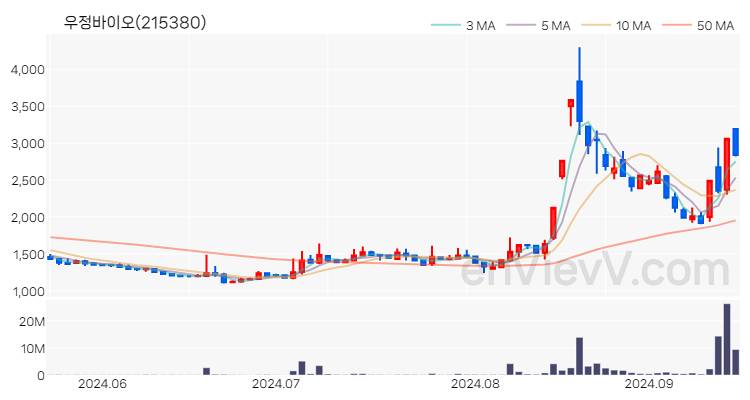 우정바이오 주가 핵심 요약 분석과 주식 차트 2024.09.19
