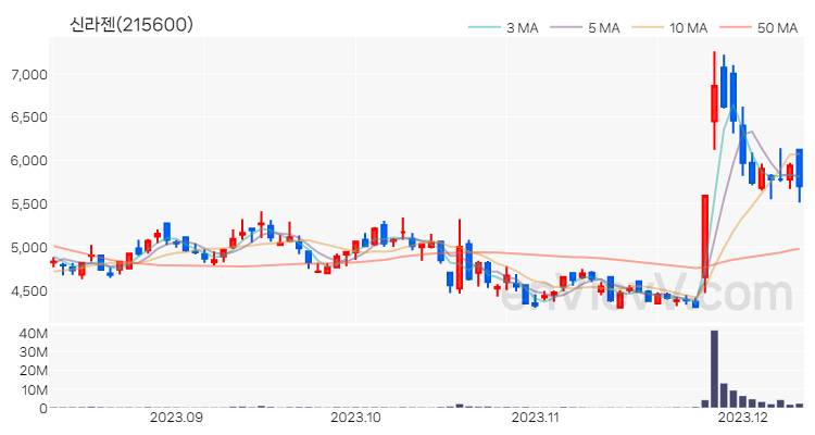 신라젠 주가 차트 (2023.12.11)