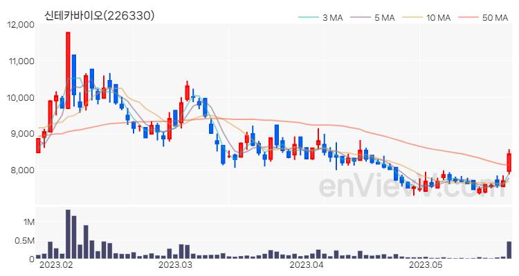 신테카바이오 주가 차트 (2023.05.23)