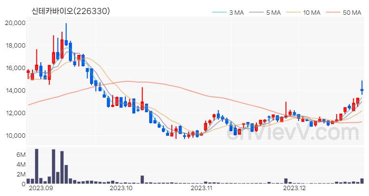 신테카바이오 주가 차트 (2023.12.26)
