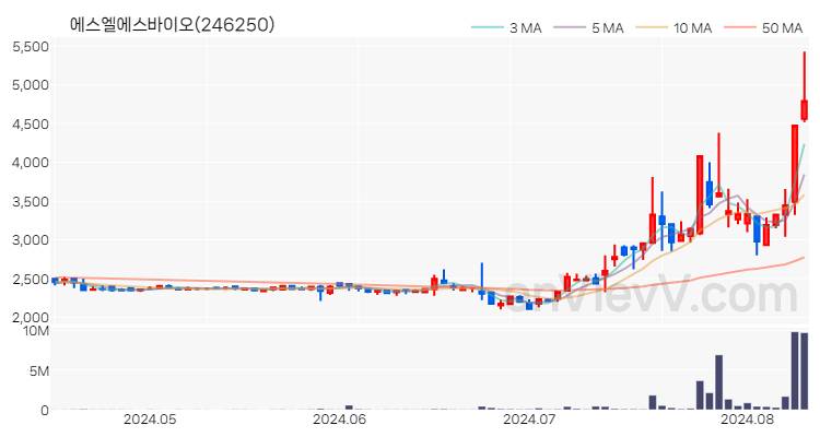 에스엘에스바이오 주가 핵심 요약 분석과 주식 차트 2024.08.12