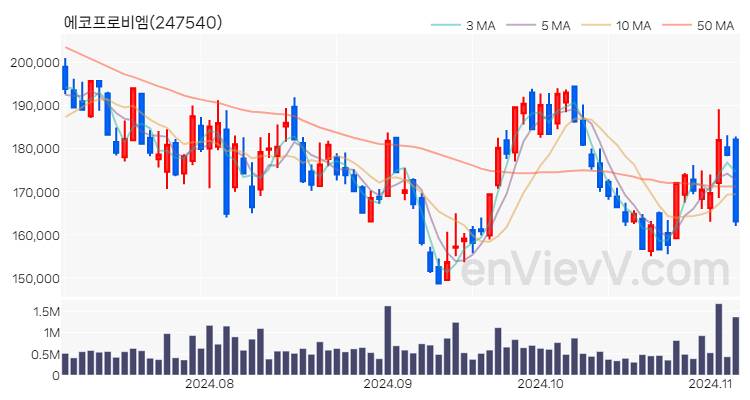 에코프로비엠 주가 핵심 요약 분석과 주식 차트 2024.11.06