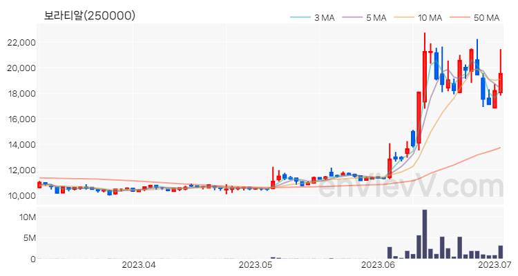 보라티알 주가 핵심 요약 분석과 주식 차트 2023.07.04