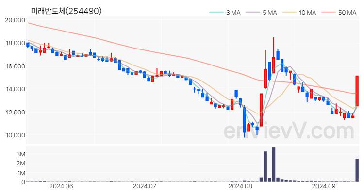 미래반도체 주가 핵심 요약 분석과 주식 차트 2024.09.12