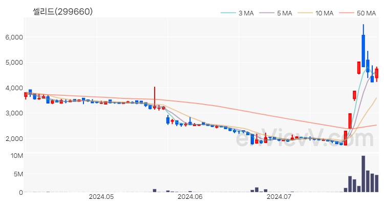 셀리드 주가 핵심 요약 분석과 주식 차트 2024.08.01