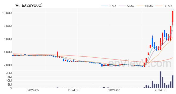 셀리드 주가 핵심 요약 분석과 주식 차트 2024.08.12