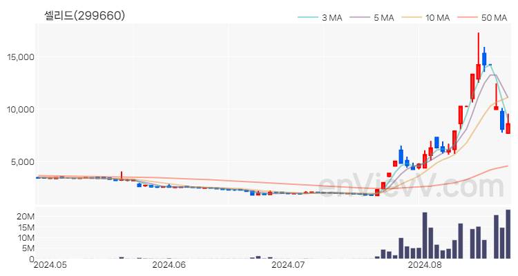 셀리드 주가 핵심 요약 분석과 주식 차트 2024.08.23
