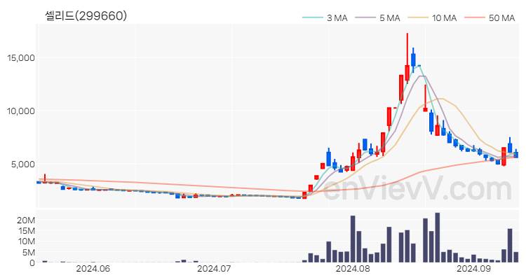 셀리드 주가 차트 (2024.09.11)