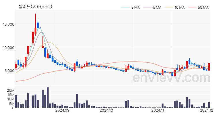셀리드 주가 핵심 요약 분석과 주식 차트 2024.12.03
