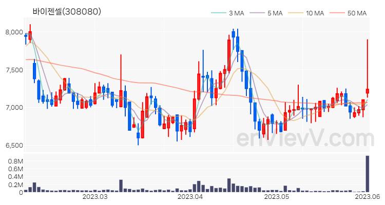 바이젠셀 주가 핵심 요약 분석과 주식 차트 2023.06.02