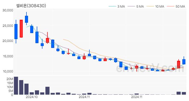 셀비온 주가 핵심 요약 분석과 주식 차트 2024.11.29